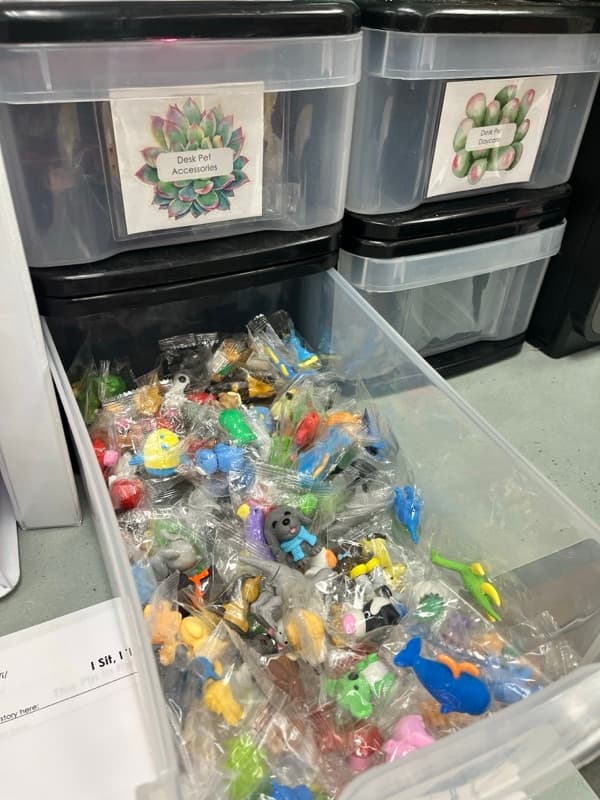 Research observation at school - children's toys and learning materials